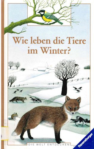 Titelbild Wie leben die Tiere im Winter?
