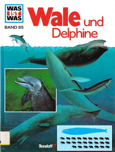 Titelbild Wale und Delphine