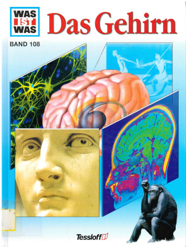 Titelbild Das Gehirn