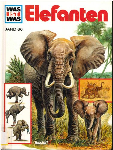 Titelbild Elefanten