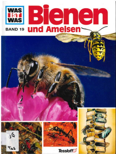 Titelbild Was ist Was - Bienen und Ameisen